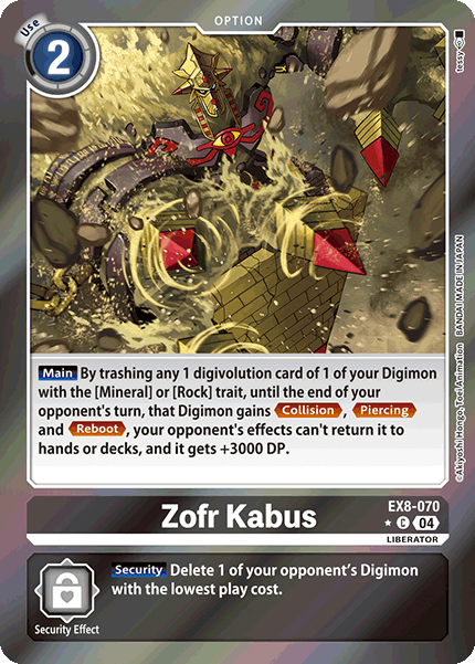 EX8-070Zofr Kabus