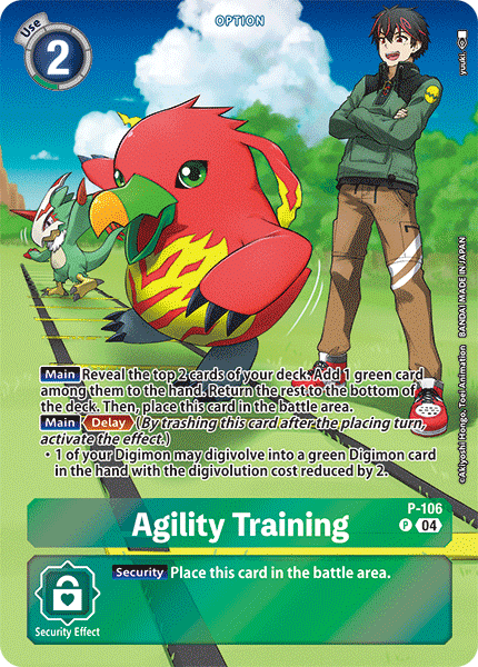 P-106Agility Training