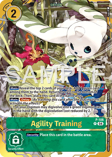 P-106Agility Training