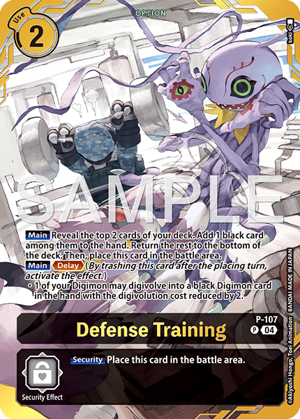 P-107Defense Training