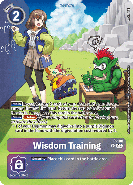 P-108Wisdom Training