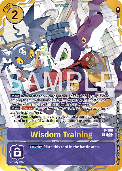 P-108Wisdom Training