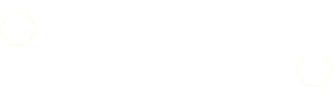 Partner Digimon included as [DUAL cards]!