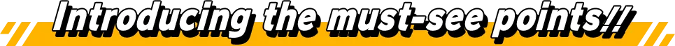 Introducing the must-see points!!